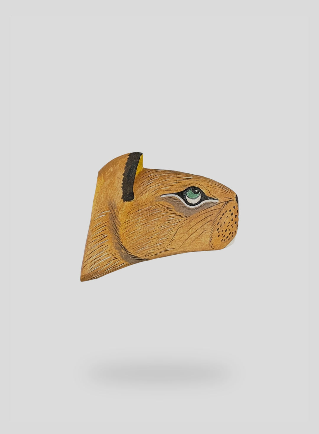 The Capybara