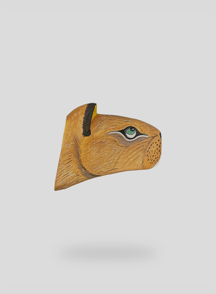 The Capybara