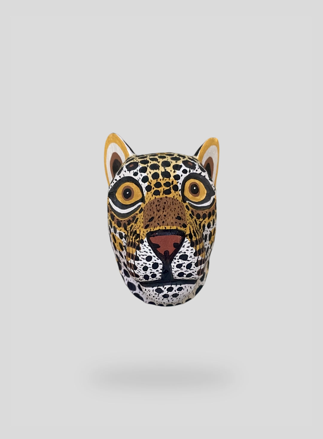 The Little Leopard