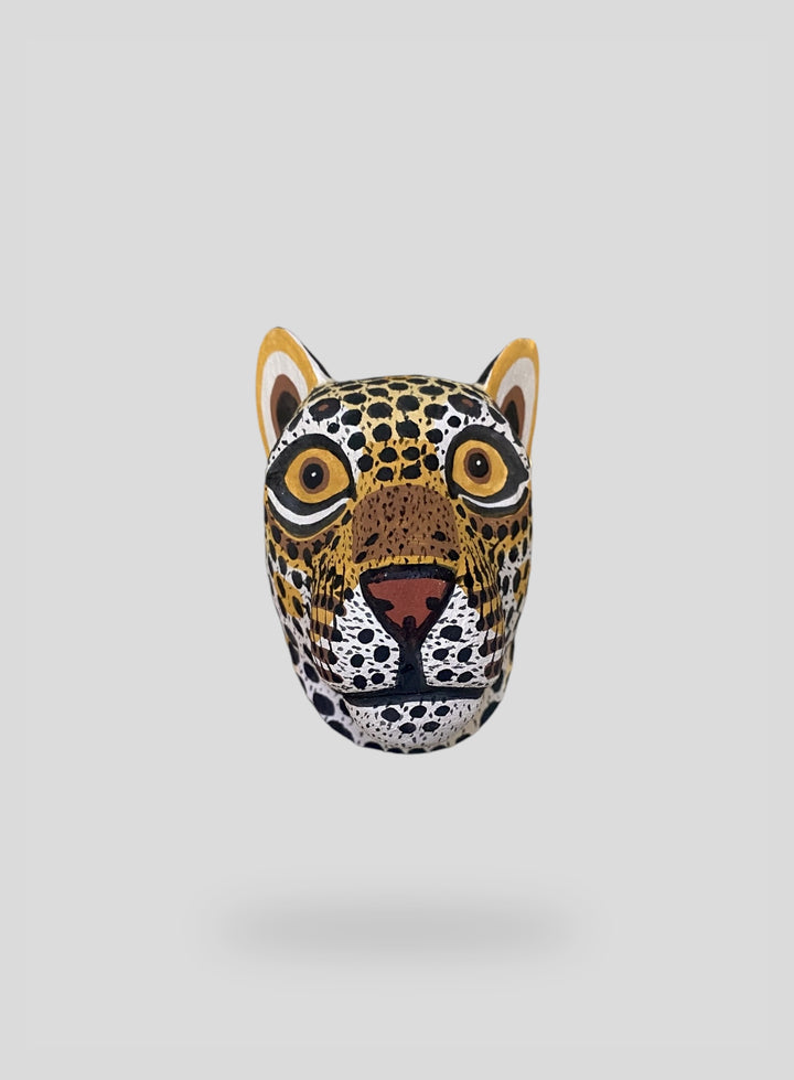 The Little Leopard