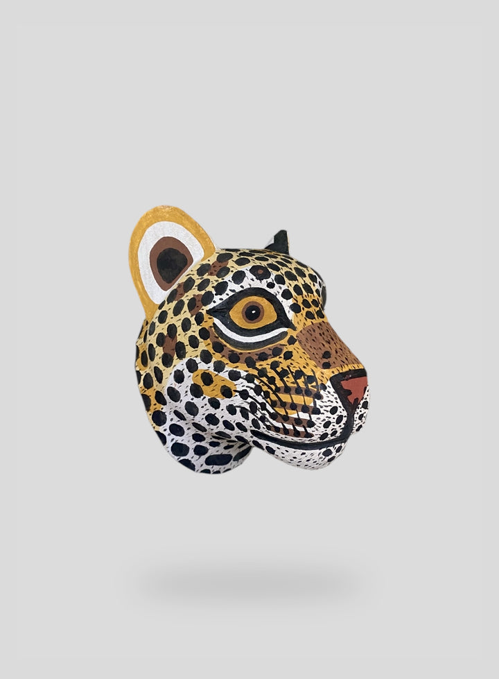 The Little Leopard