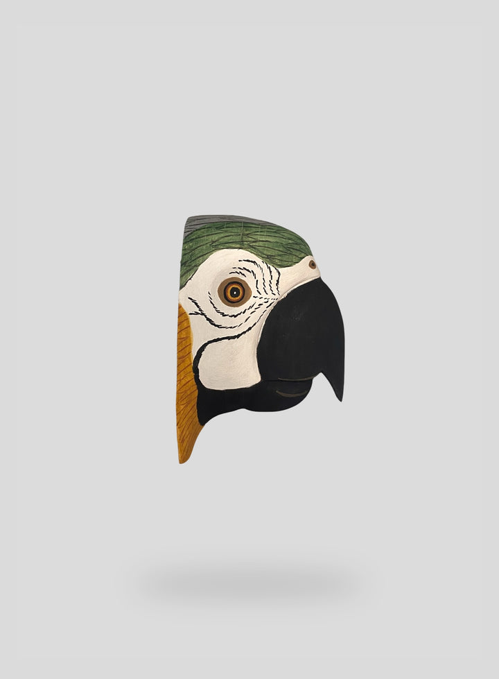 The Macaw