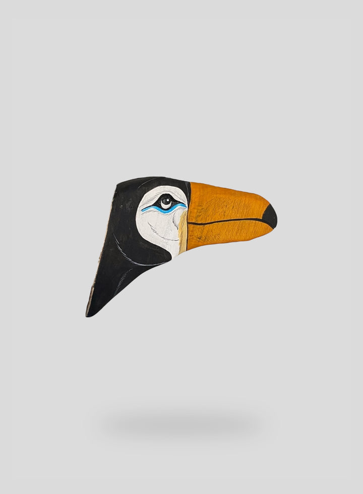 The Toucan