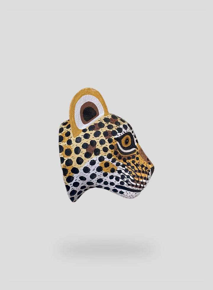 The Little Leopard