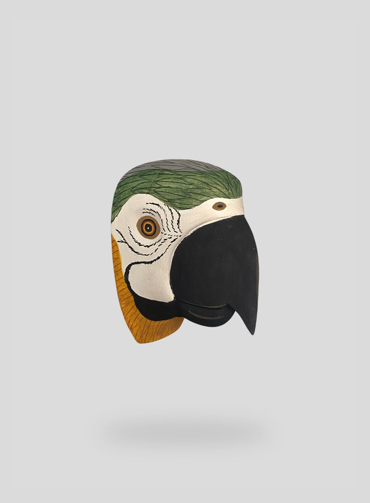 The Macaw
