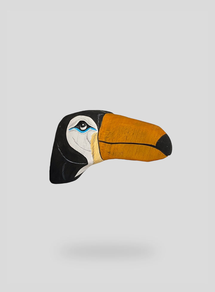 The Toucan