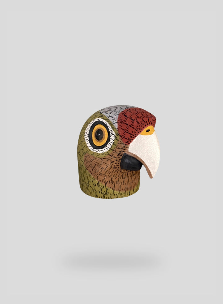 The Mini Green Parrot