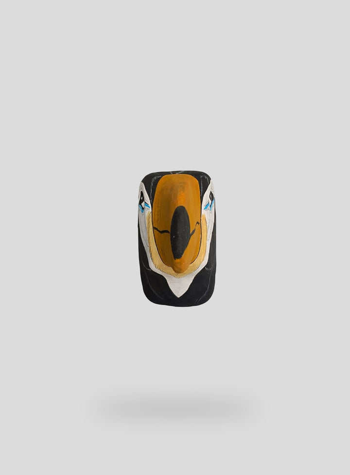 The Toucan