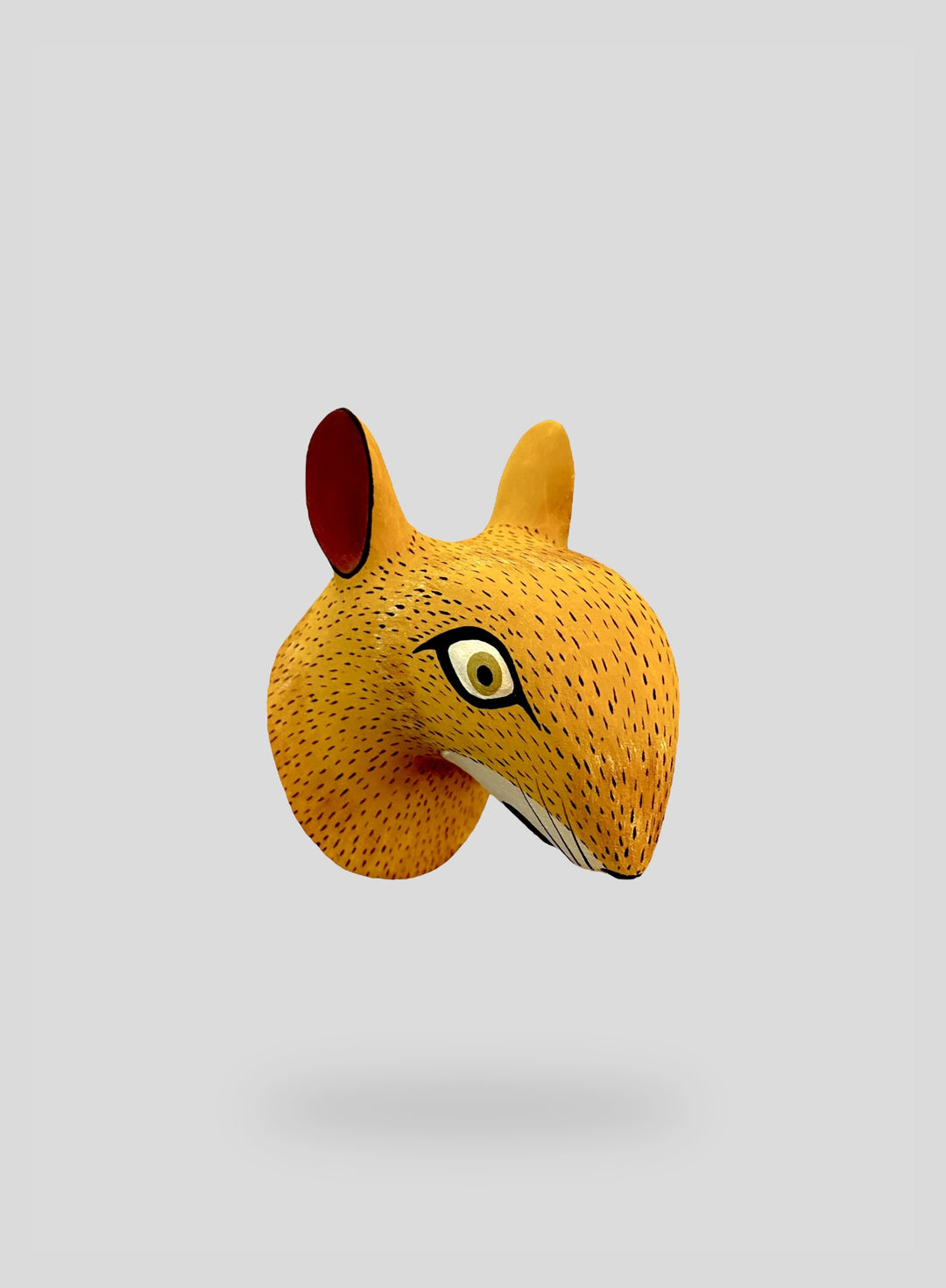 The Squirrel