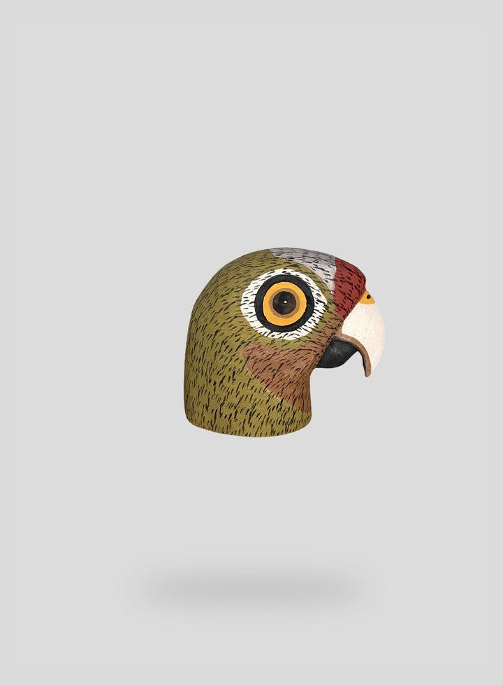 The Mini Green Parrot
