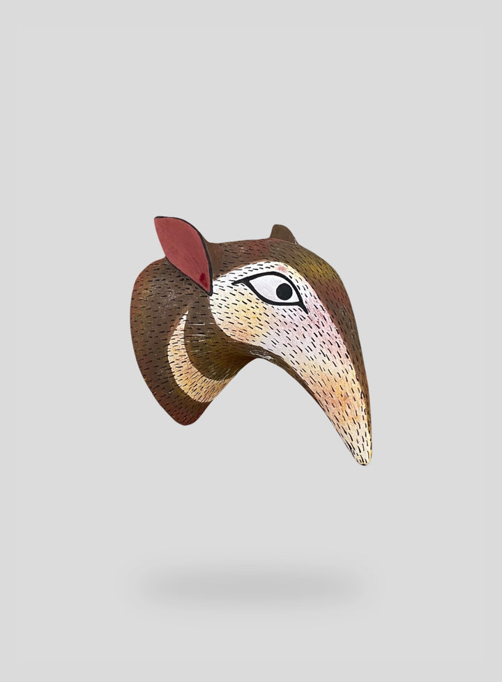The Anteater