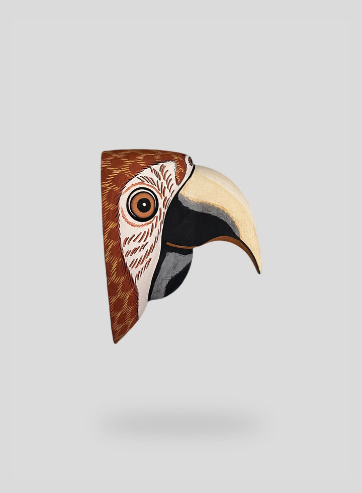 The Macaw