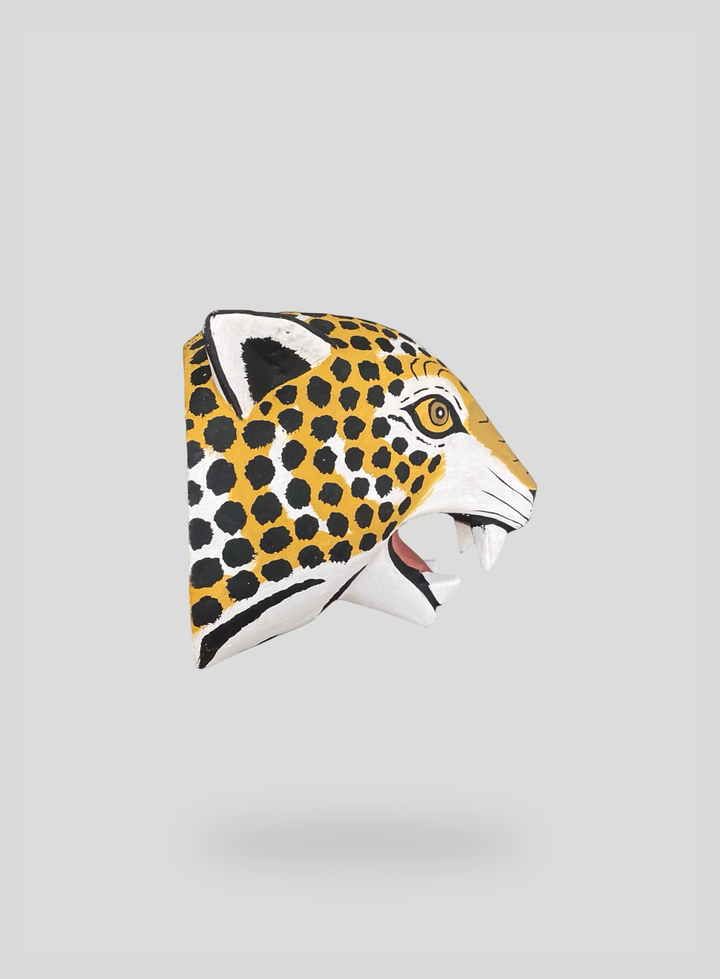 The Roaring Cheetah