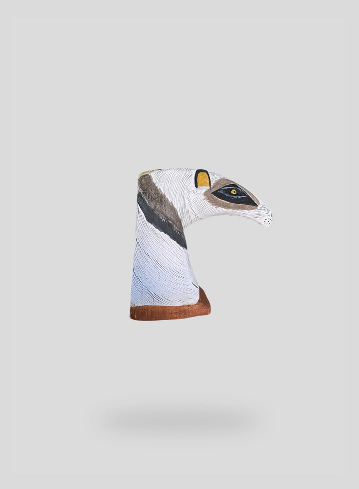 The Anteater