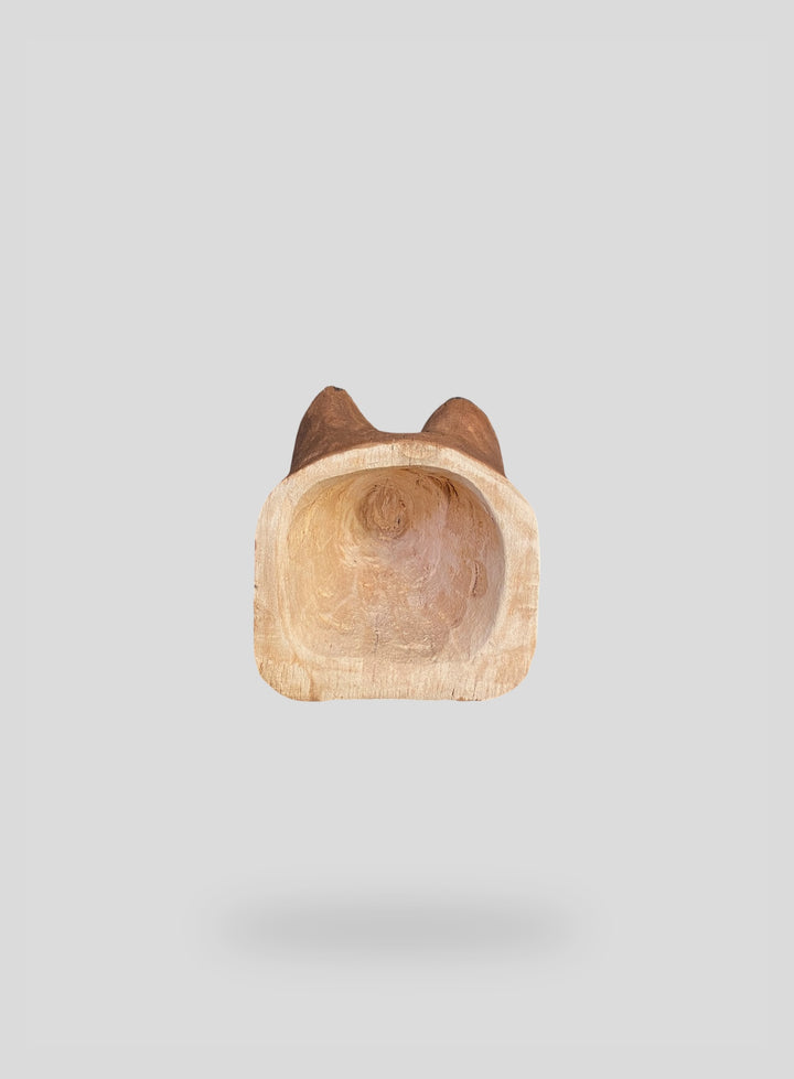 The Puma
