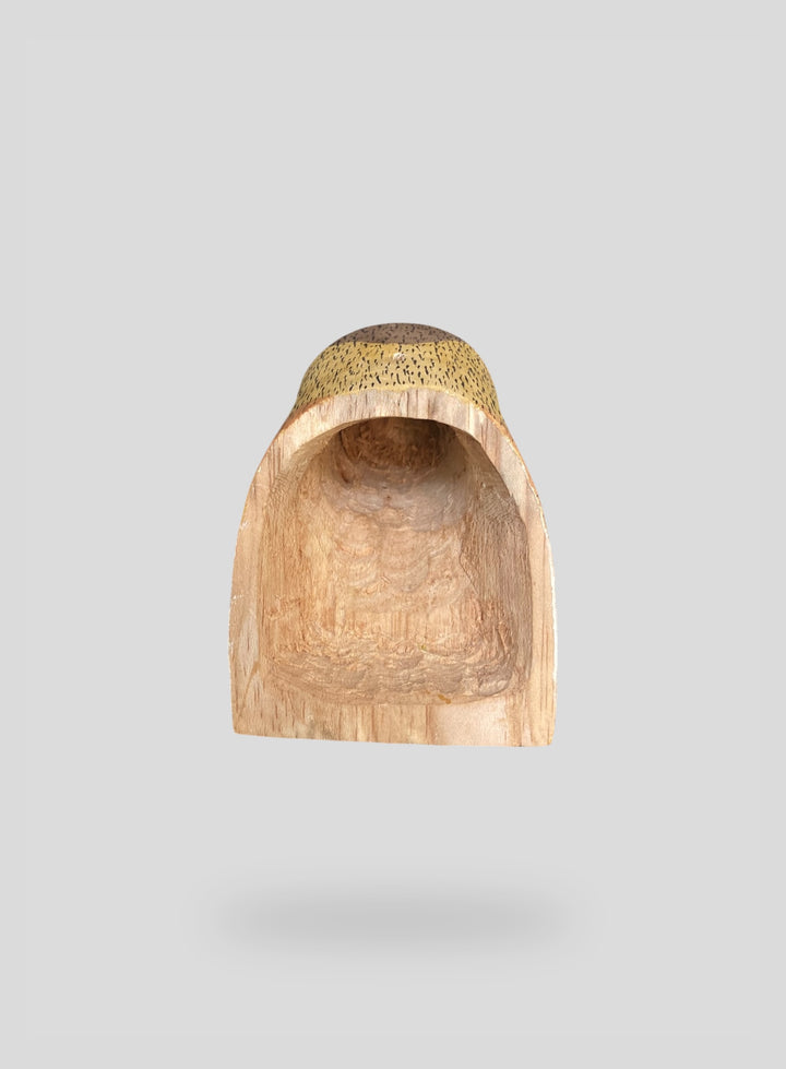 The Eagle Hanging Bookend
