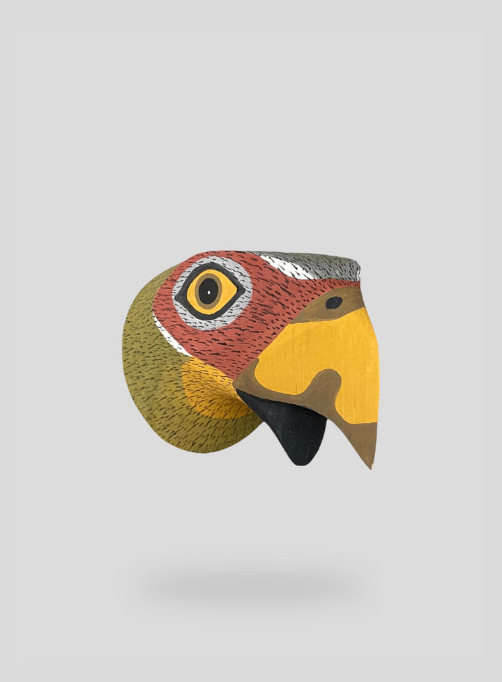 The Singing Parrot
