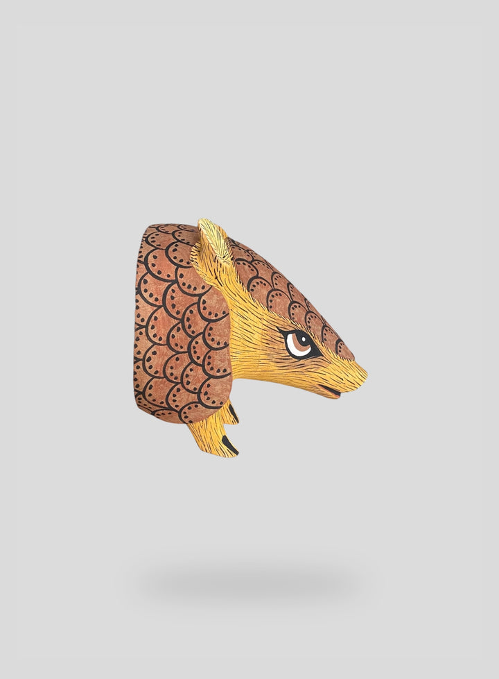 The Armadillo