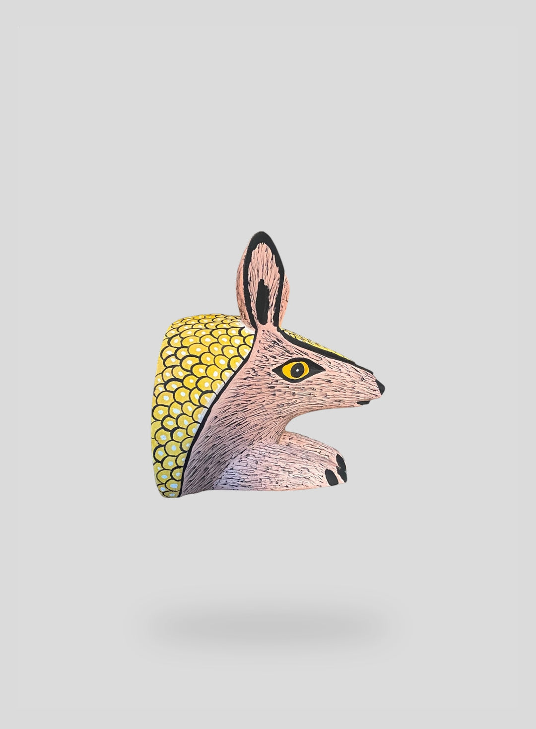 The Resting Armadillo
