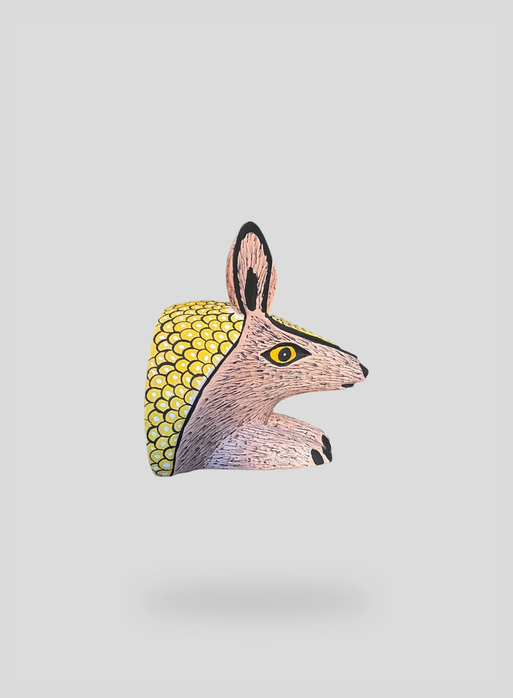 The Resting Armadillo