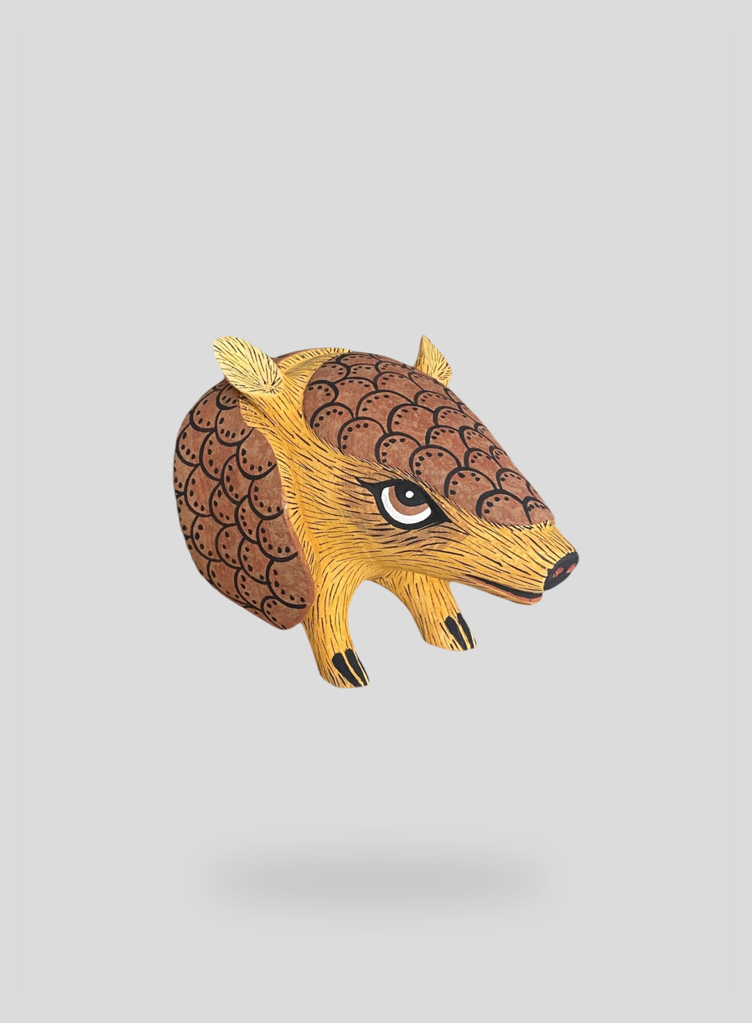 The Armadillo