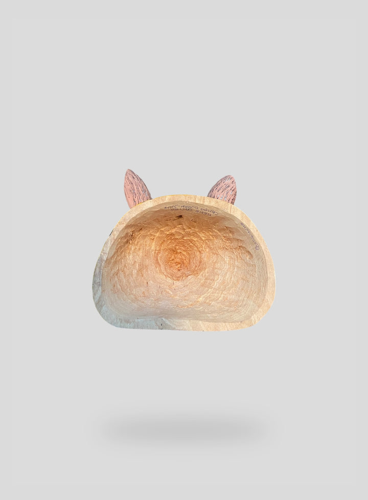 The Resting Armadillo