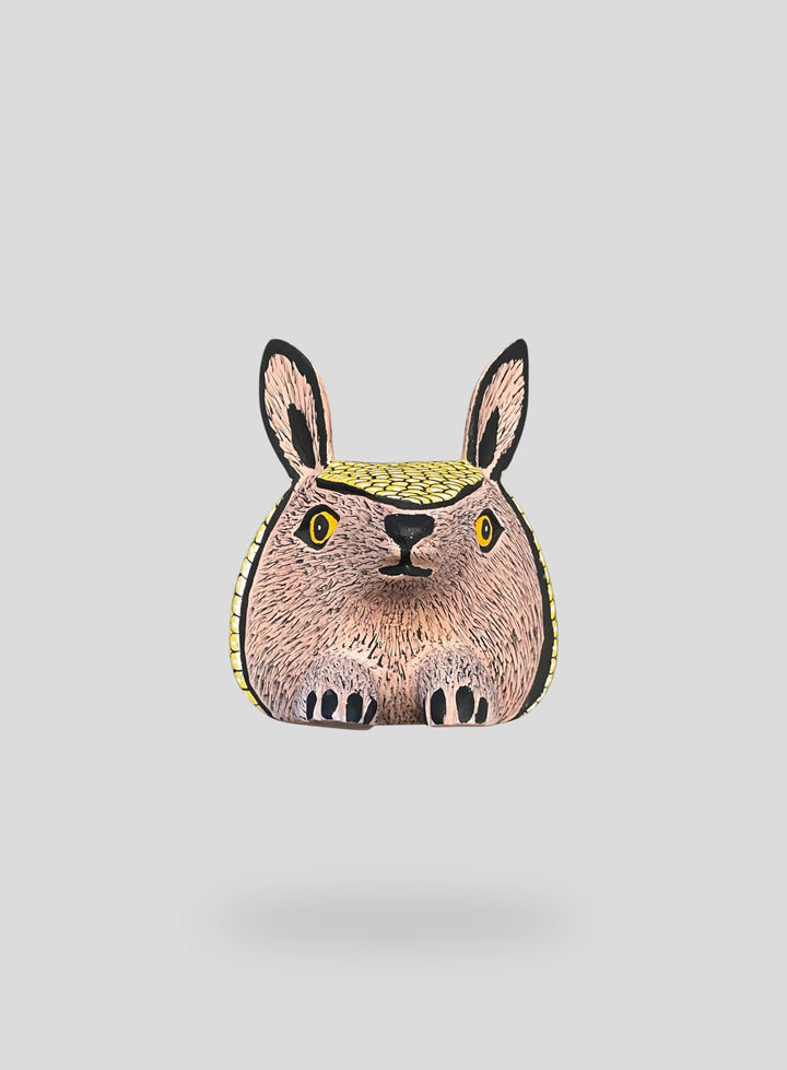 The Resting Armadillo