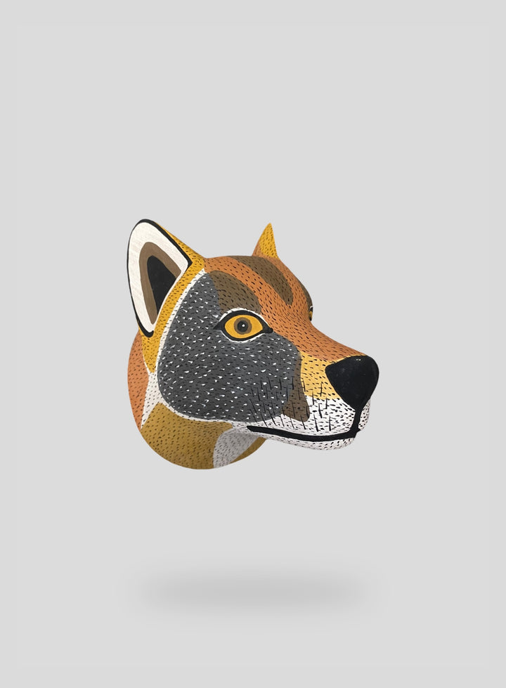 The Andean Wolf