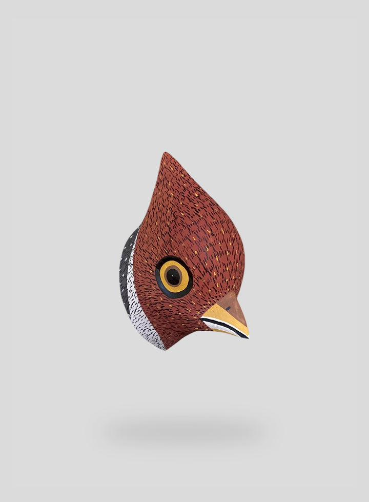 The Little Cardinal