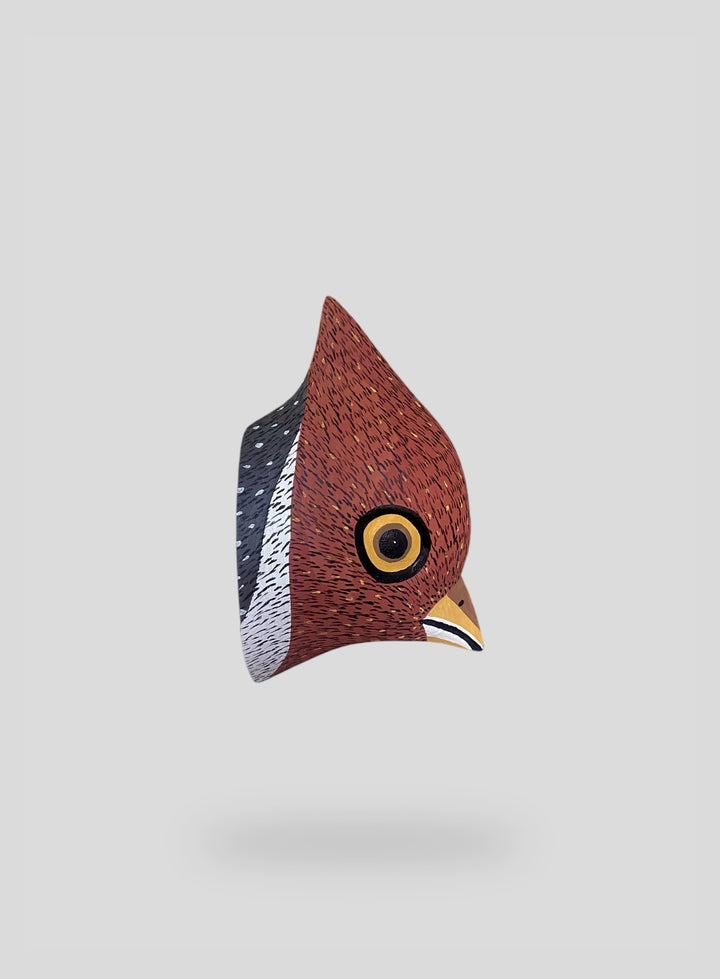 The Little Cardinal