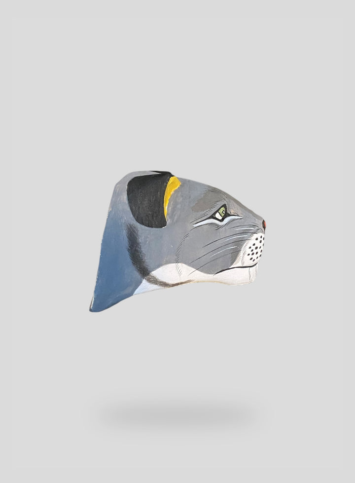 The Wildcat