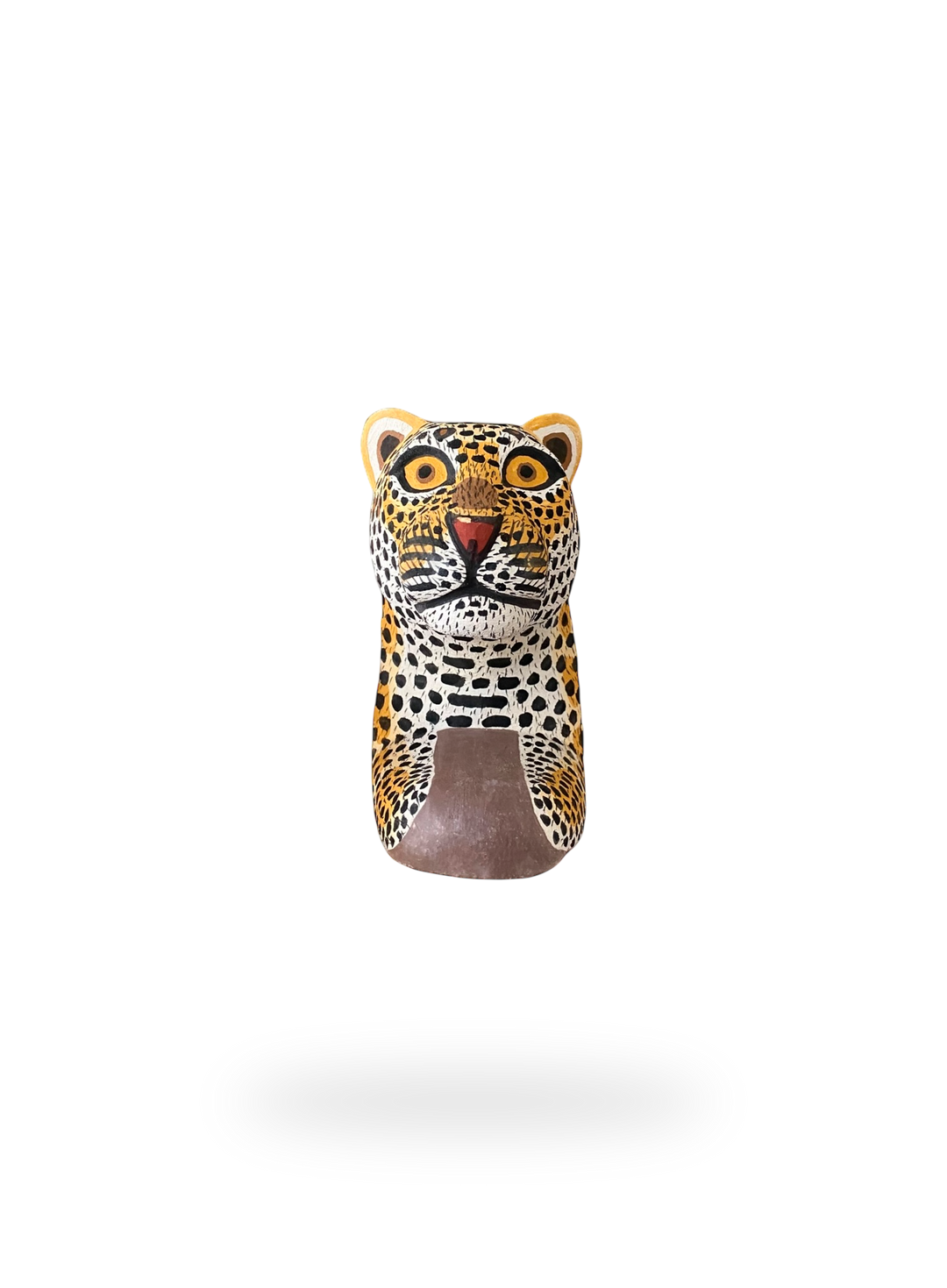 The Resting Leopard