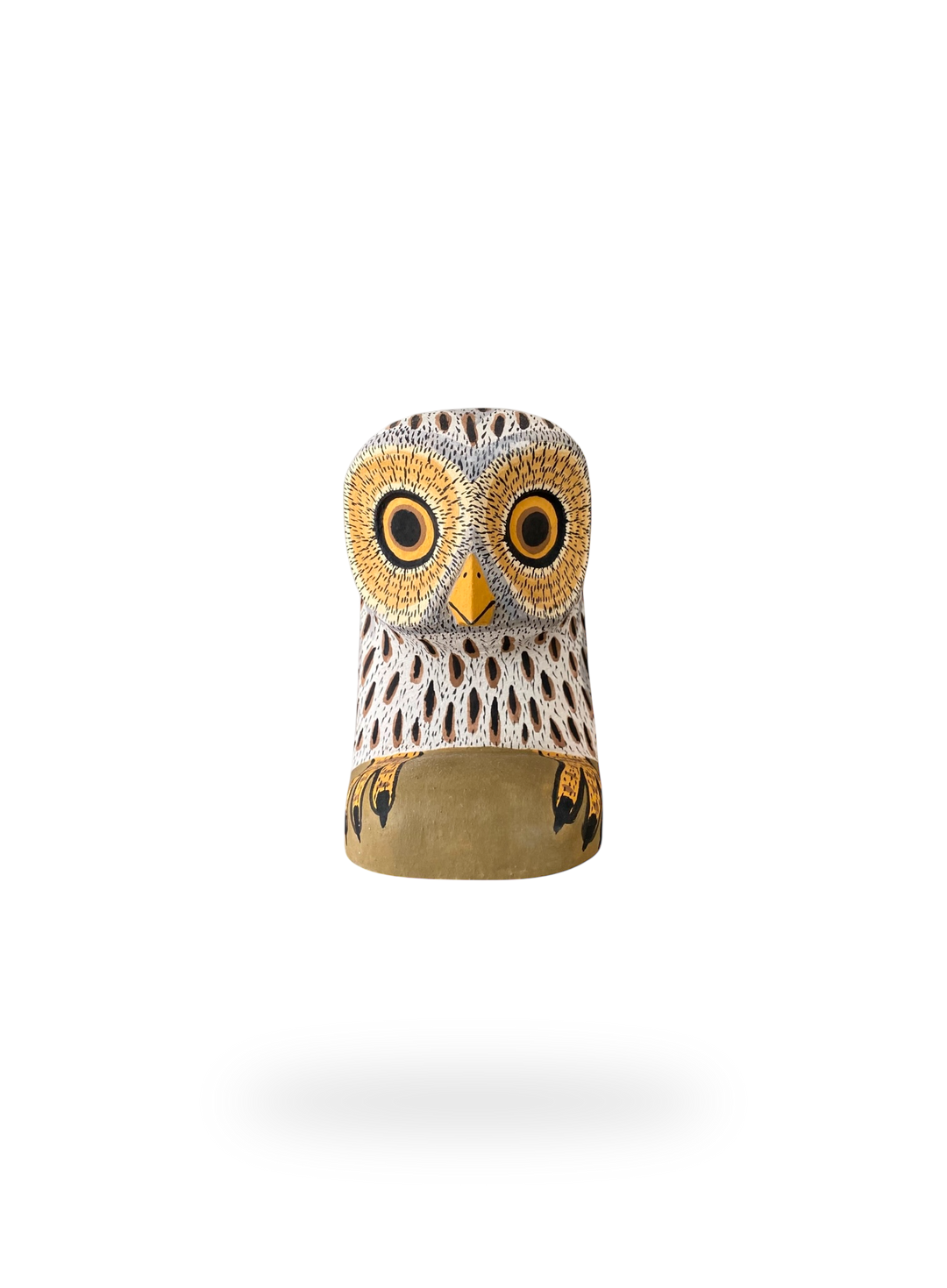 The Resting White Owl