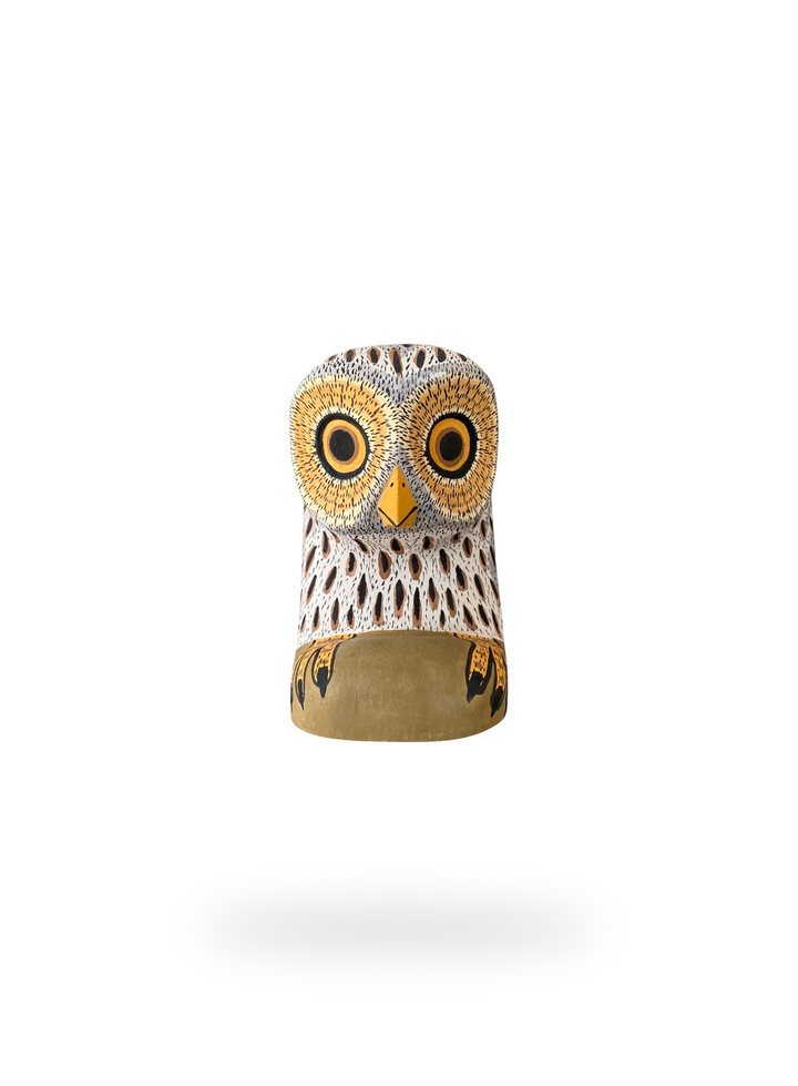 The Resting White Owl