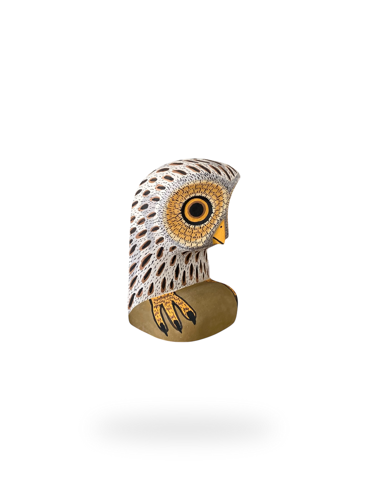 The Resting White Owl
