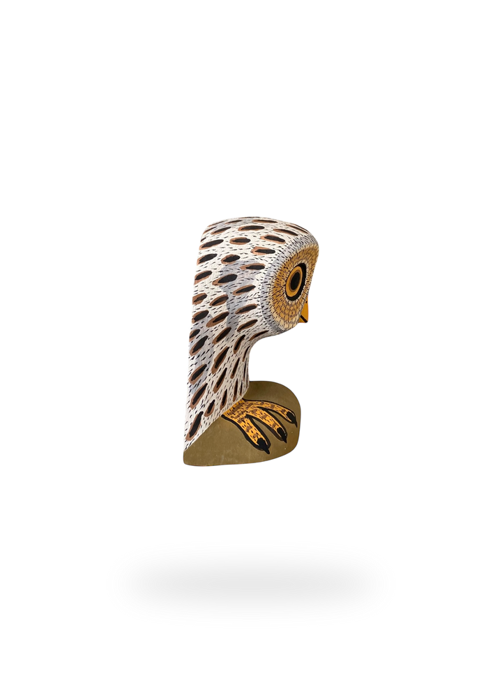 The Resting White Owl