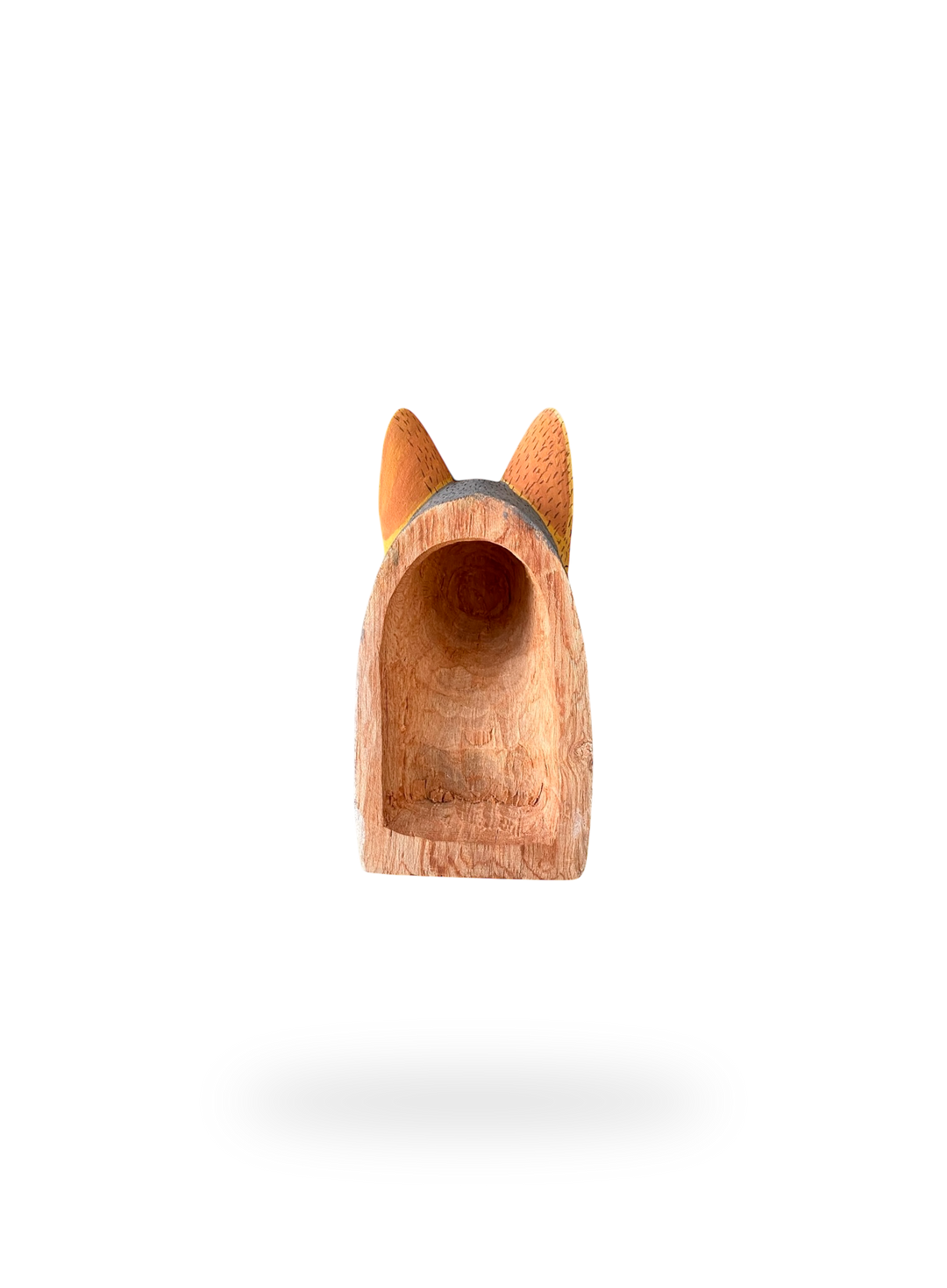 The Resting Ancient Fox