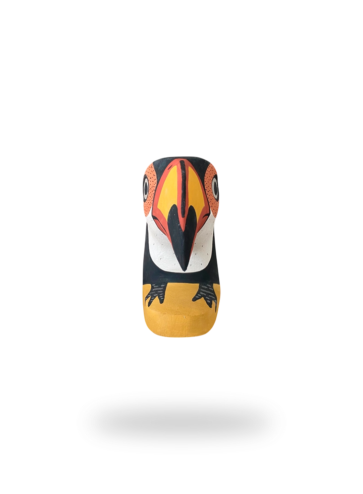 The Resting Toucan