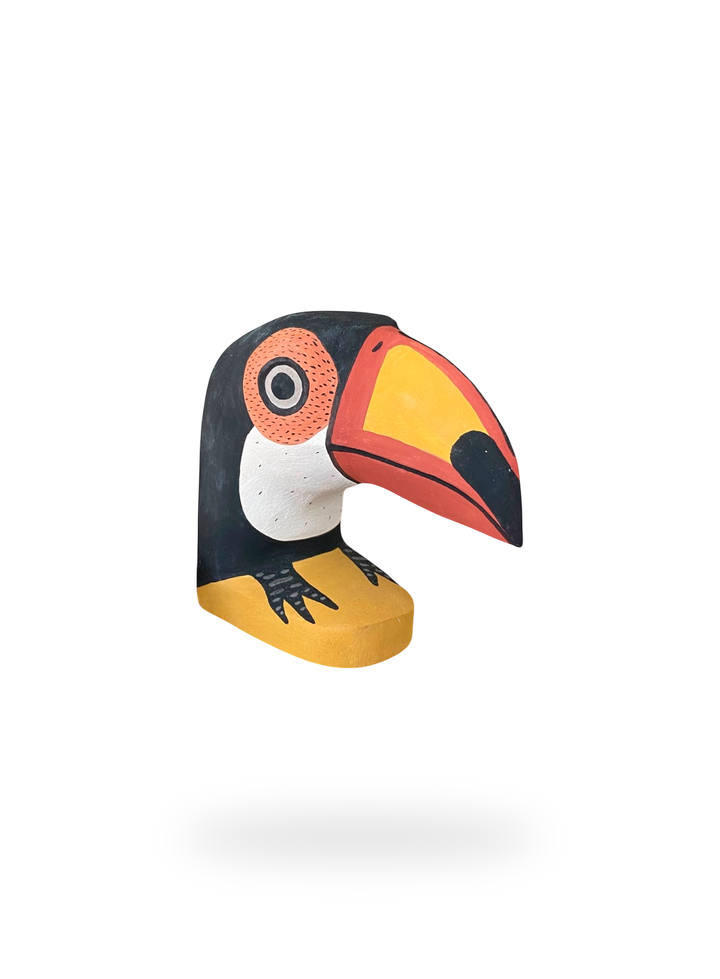 The Resting Toucan