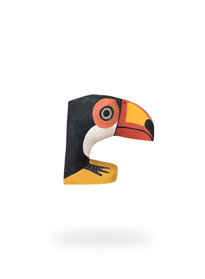 The Resting Toucan