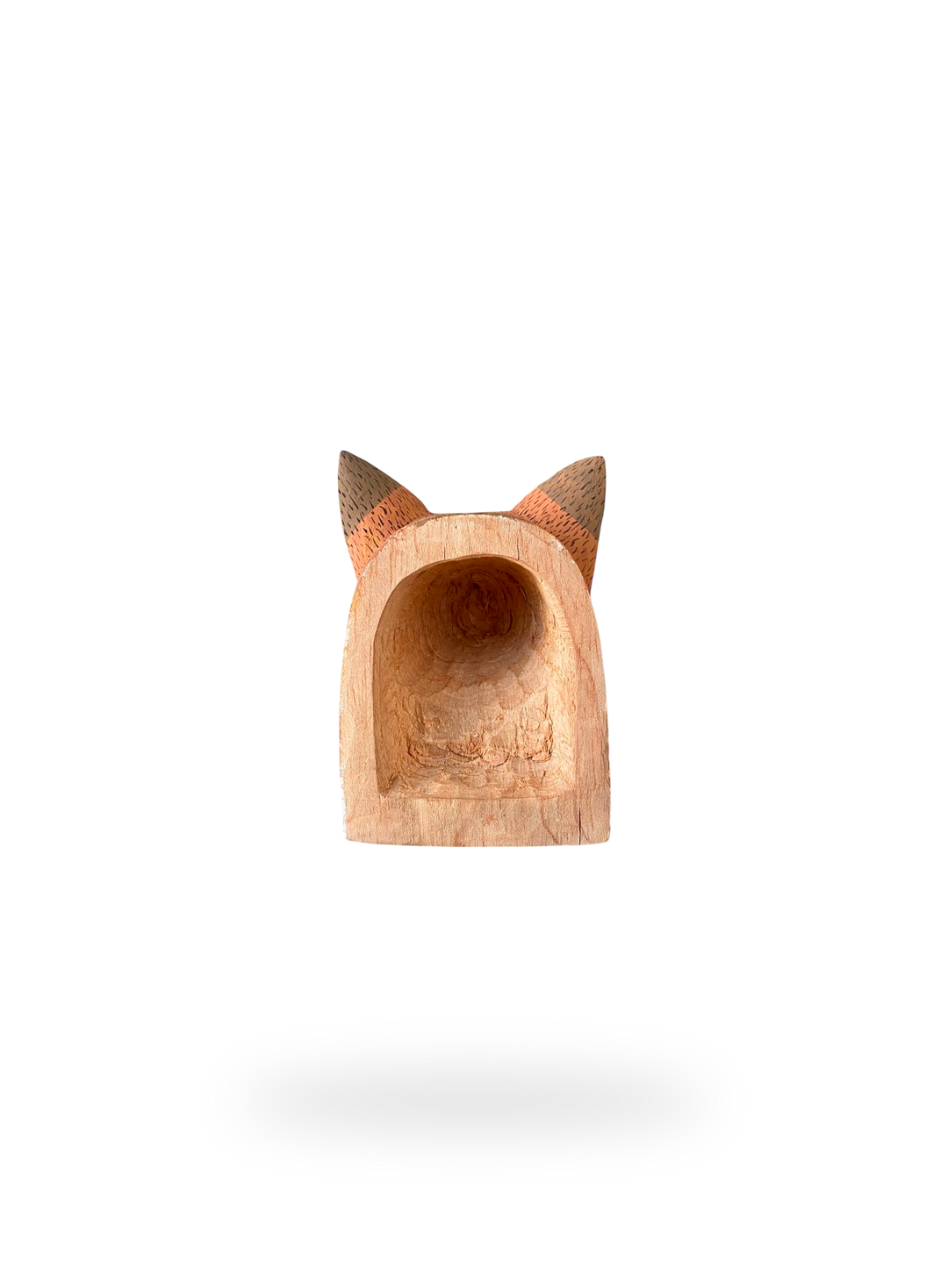 The Resting Fox