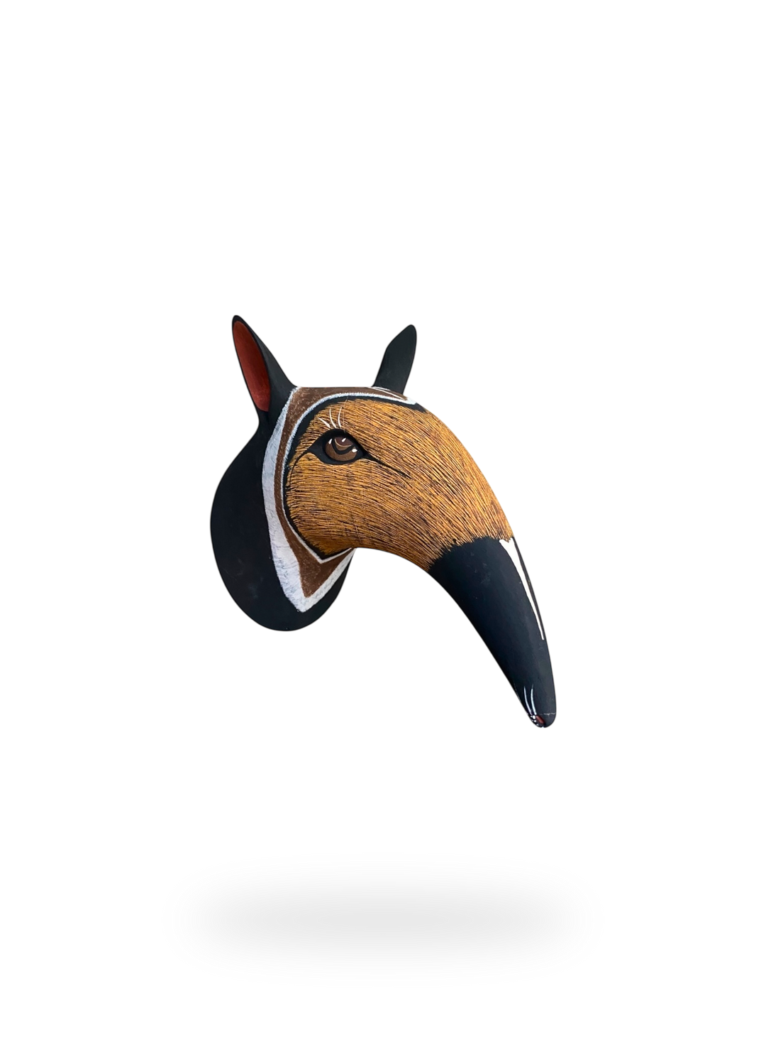 The Anteater