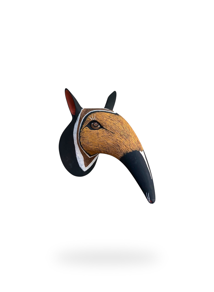 The Anteater