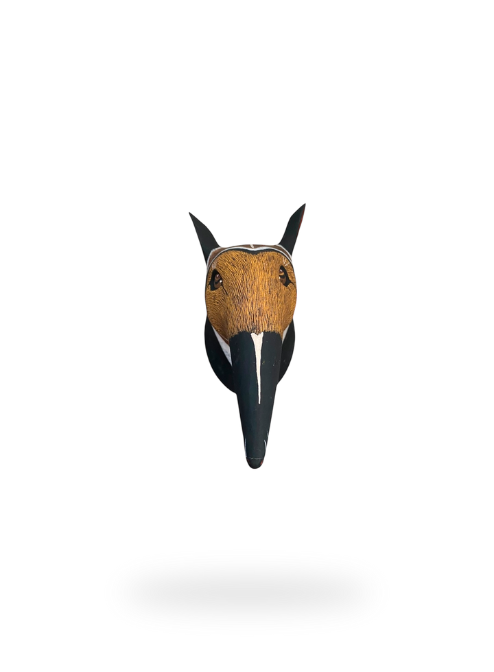 The Anteater