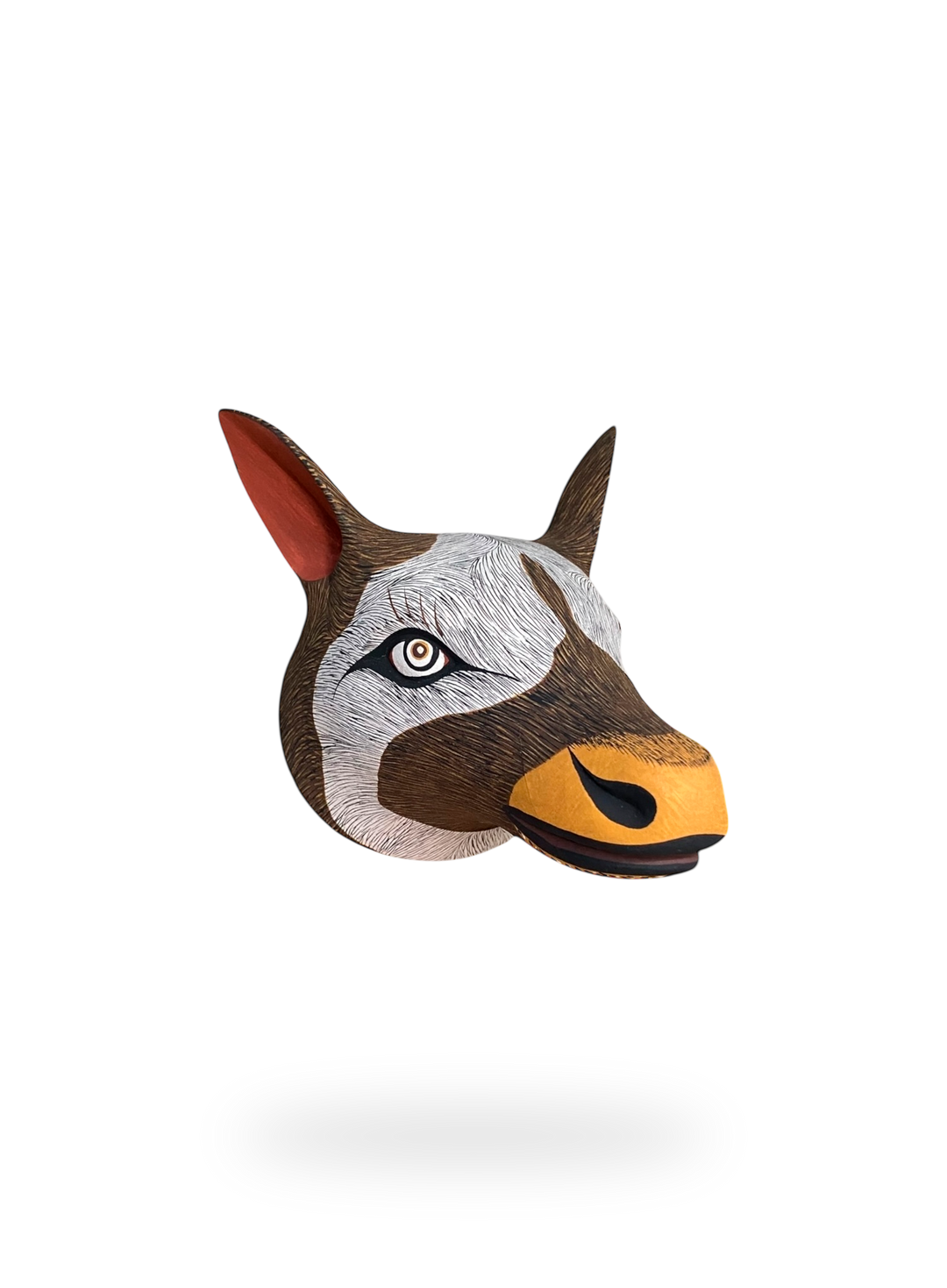 The Northern Deer