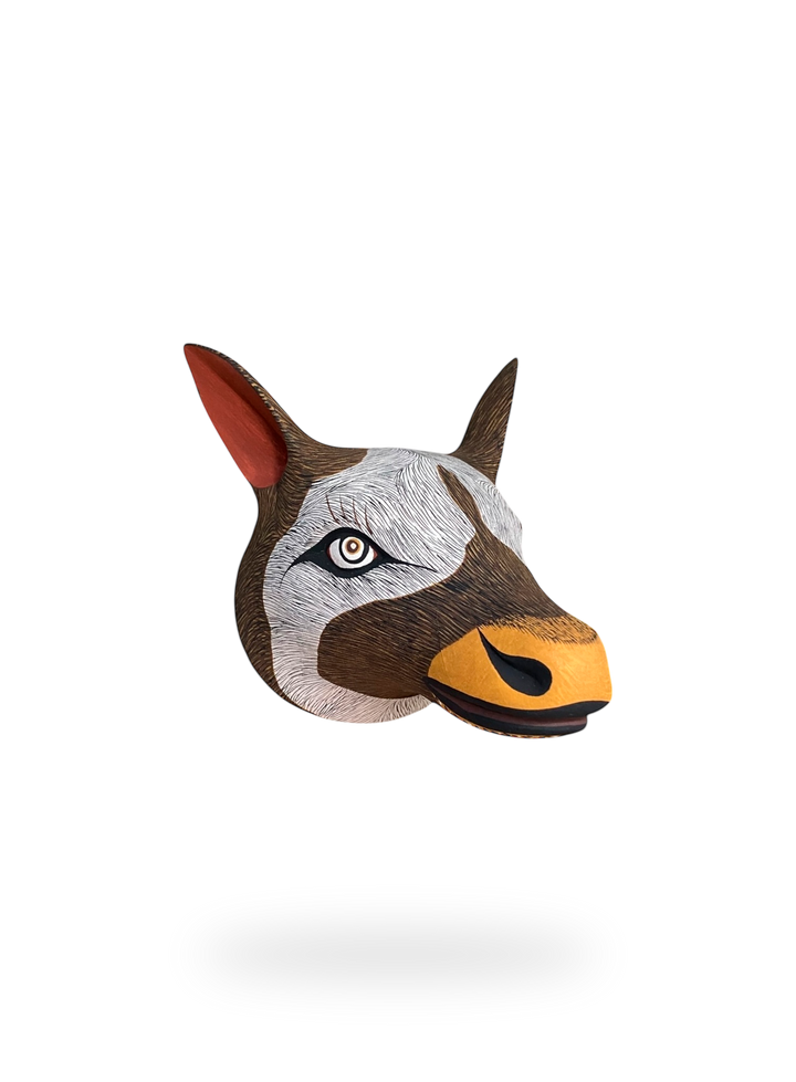 The Northern Deer