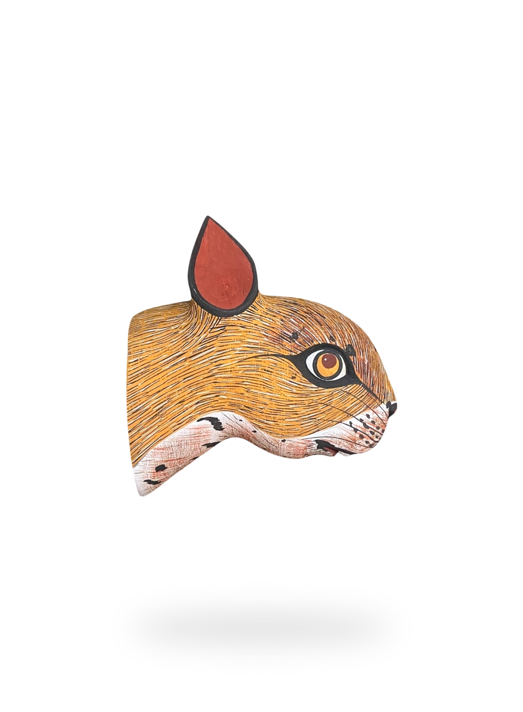 The Squirrel
