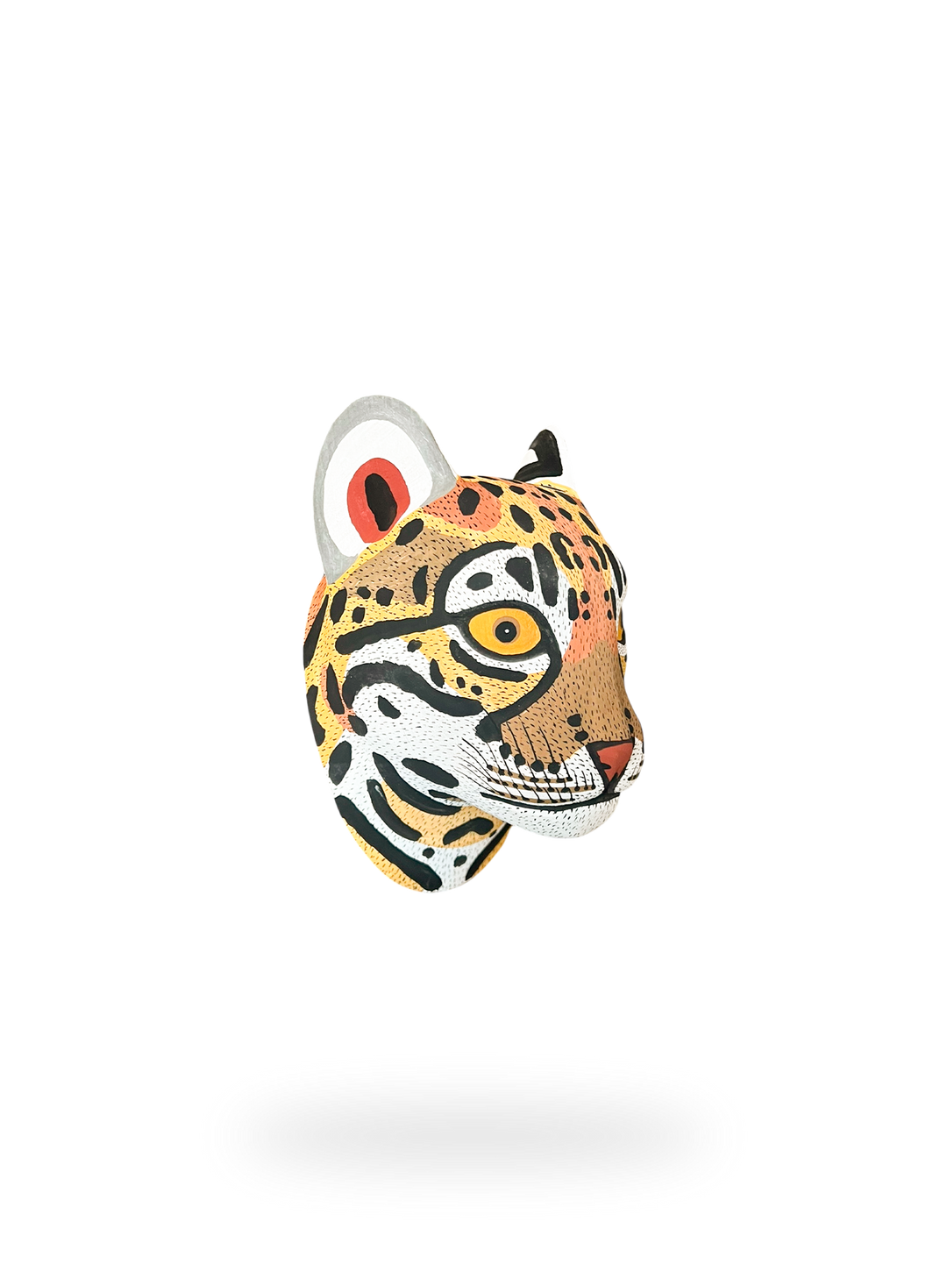 The Wildcat