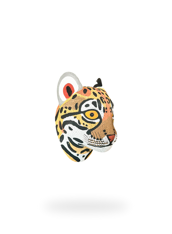 The Wildcat