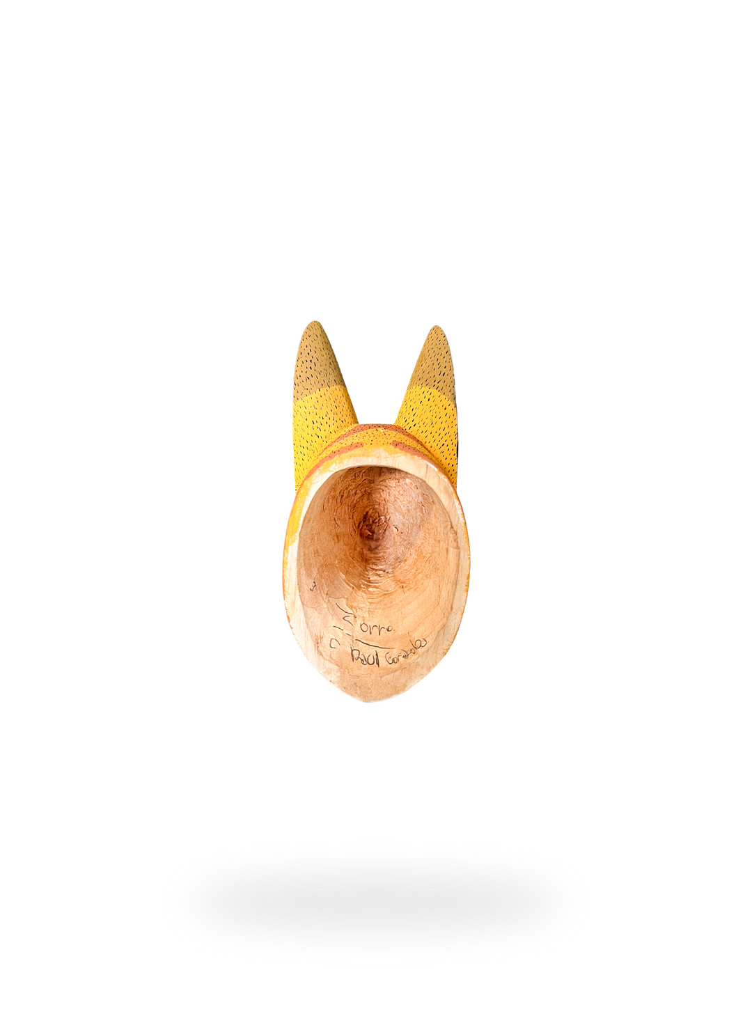 The Andean Fox